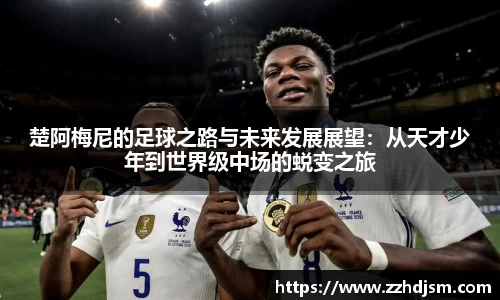 emc体育官方下载