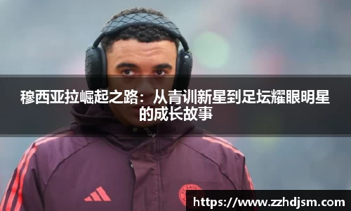 易倍体育官方网站